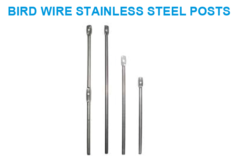 Bird wire Stainless Steel Posts.jpg