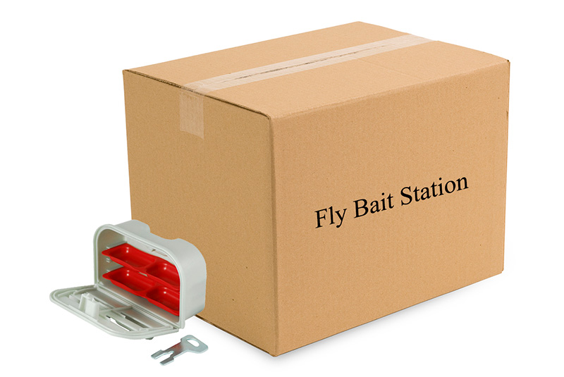 Fly-bait-station-4015-(4)