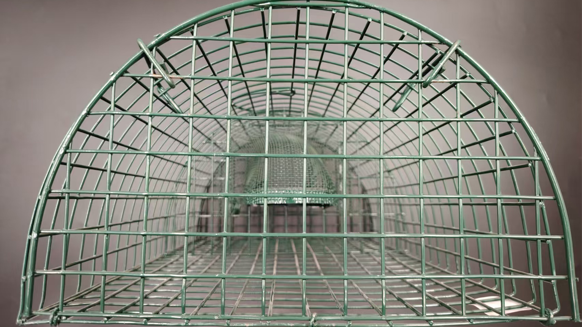20023
