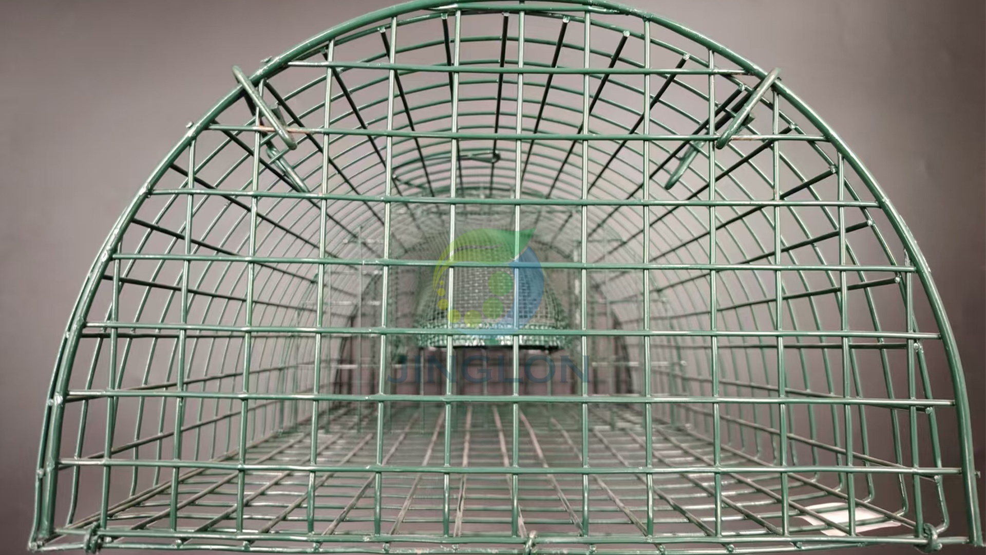 20023