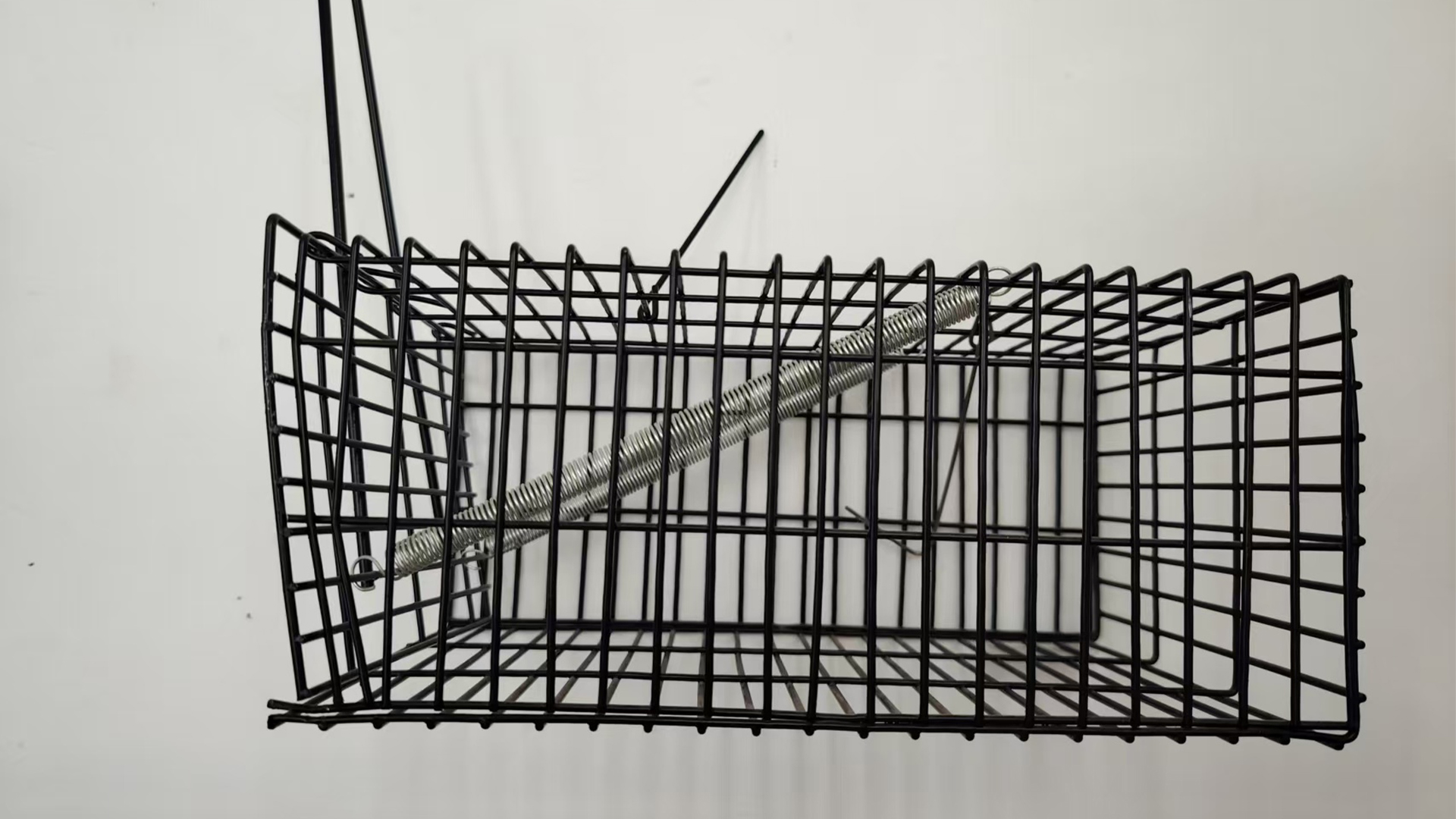 20063