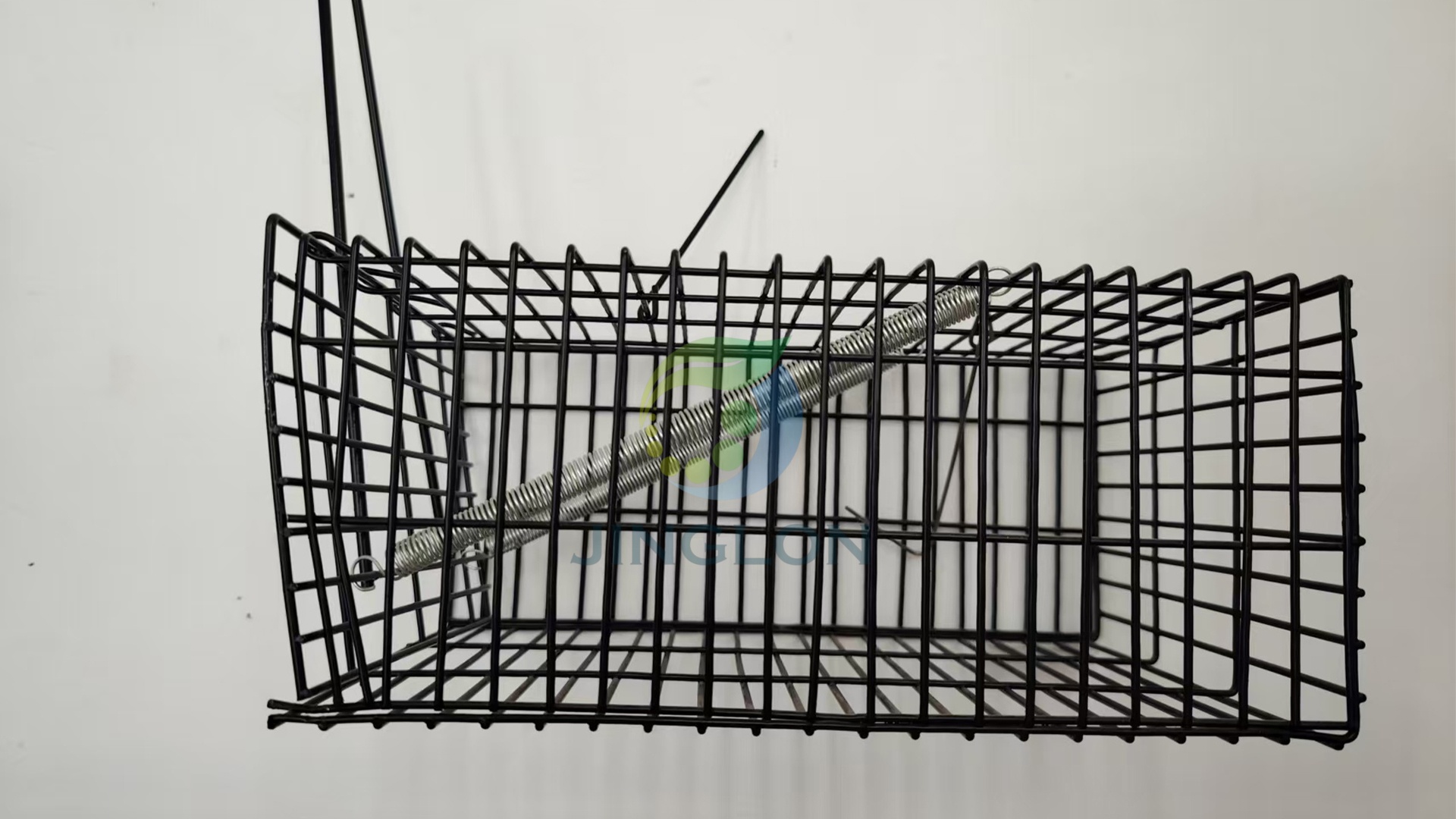 20063
