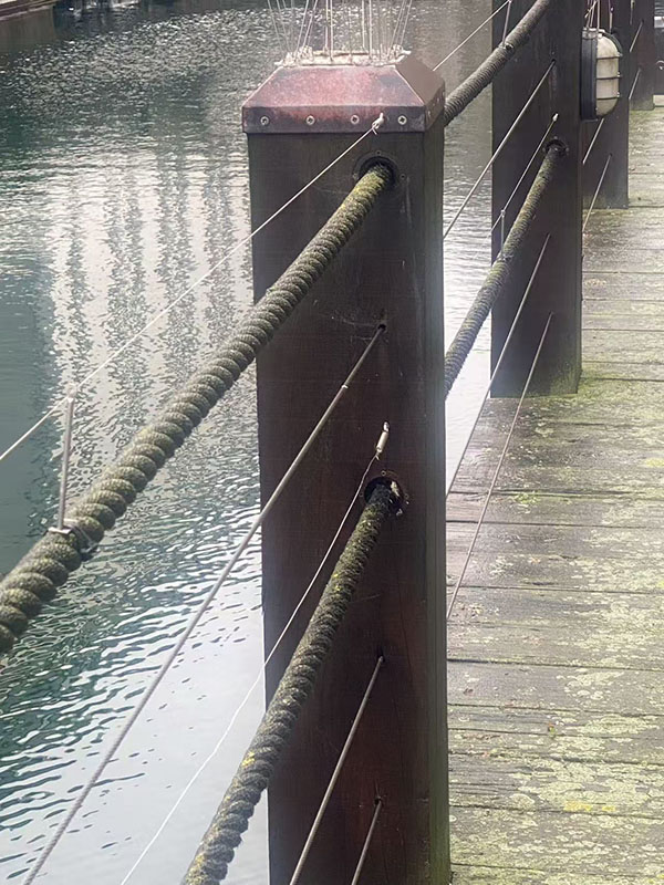 Bird Control (4)