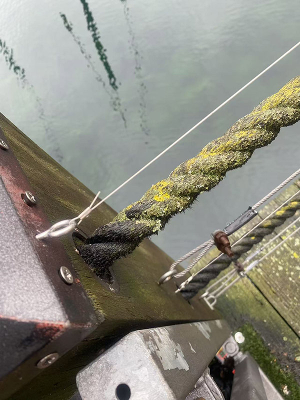 Bird Control (7)