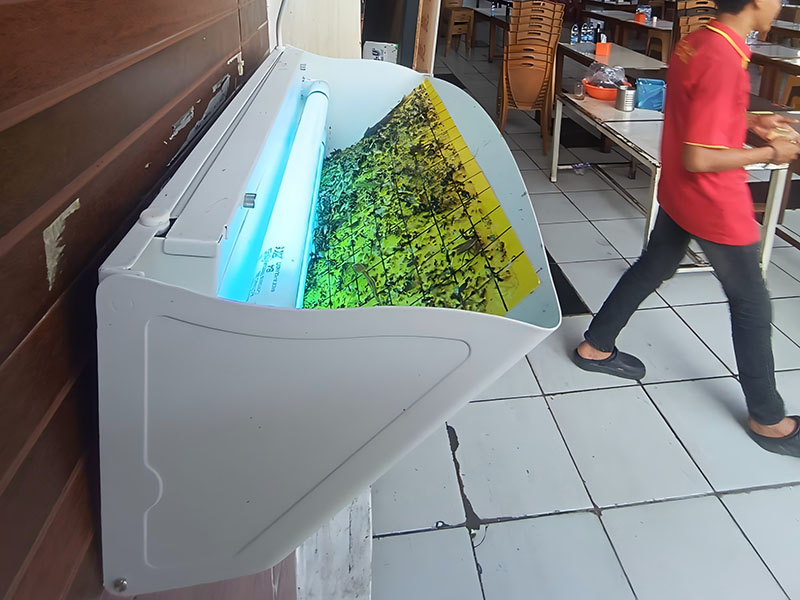 Insect Control (2)