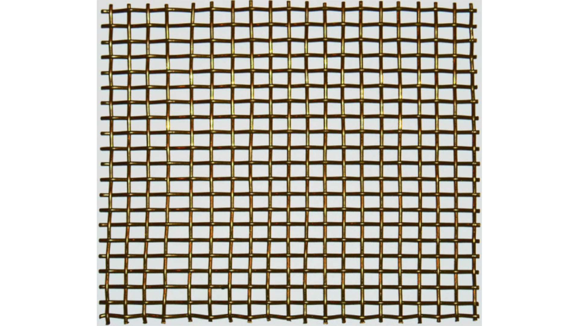 Rodent Mesh2