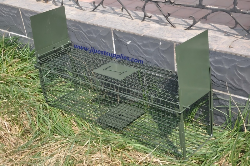 微信图片_2026-02-03_102248_361