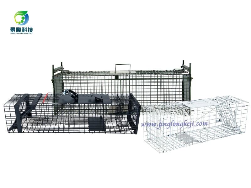 微信图片_2026-02-03_103501_372